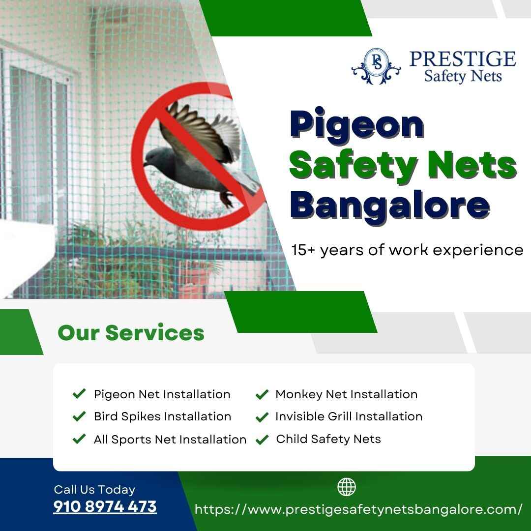 Professional Pigeon Safety Nets Installation in Bangalore – Call Now